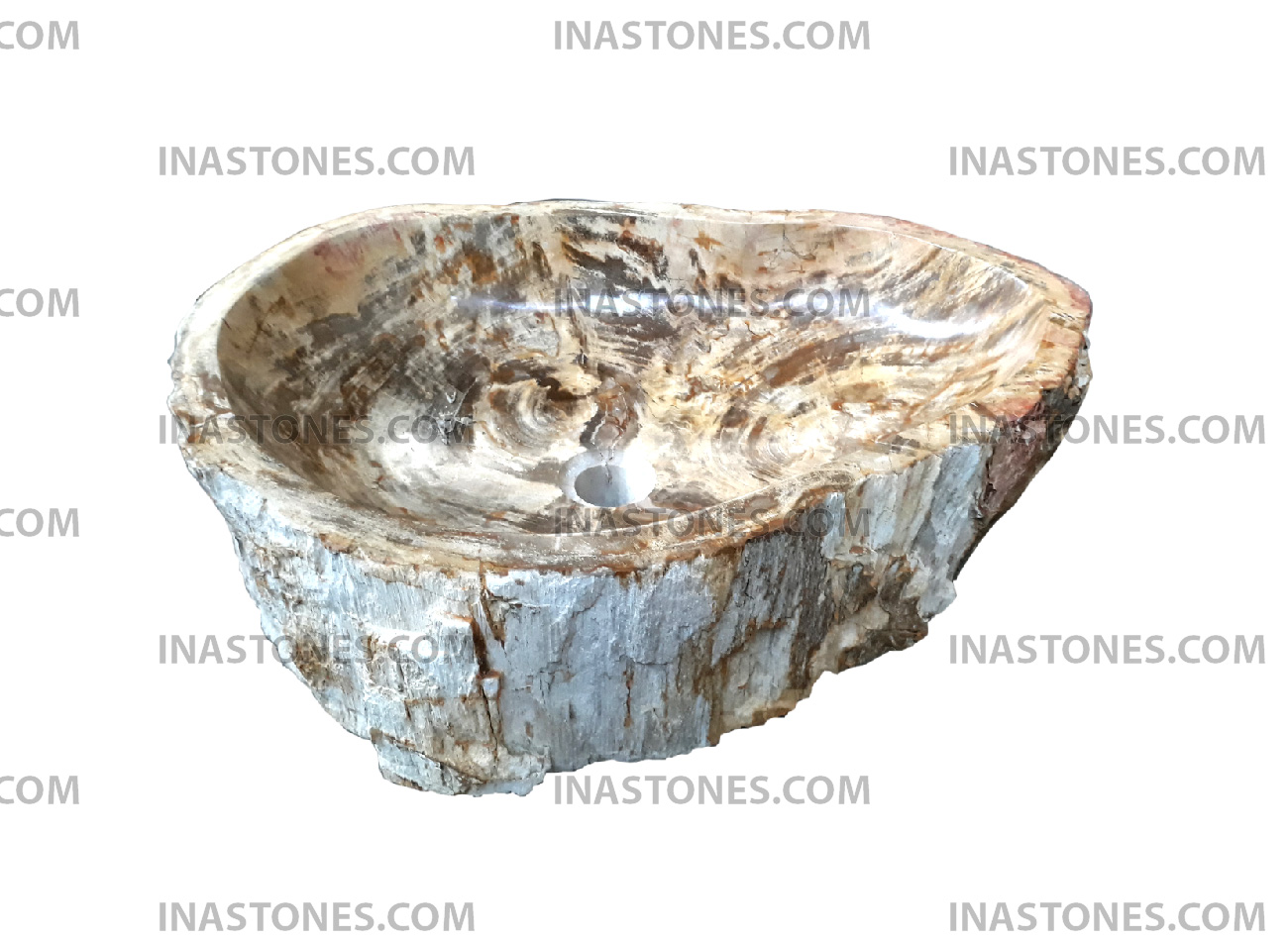 Cream Abstract Petrified Wood